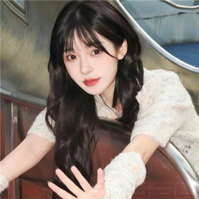 胡奇才决战新开岭